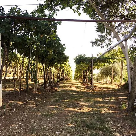 Ferienhaus Fuori Mura *
